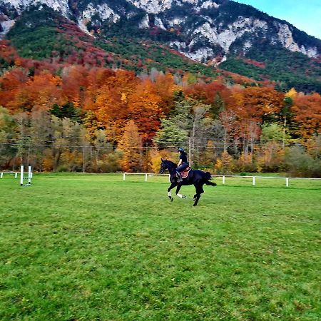 Apartmán Muehle In Der Pferdewelt Reichenau Exteriér fotografie