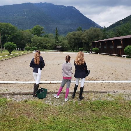Apartmán Muehle In Der Pferdewelt Reichenau Exteriér fotografie