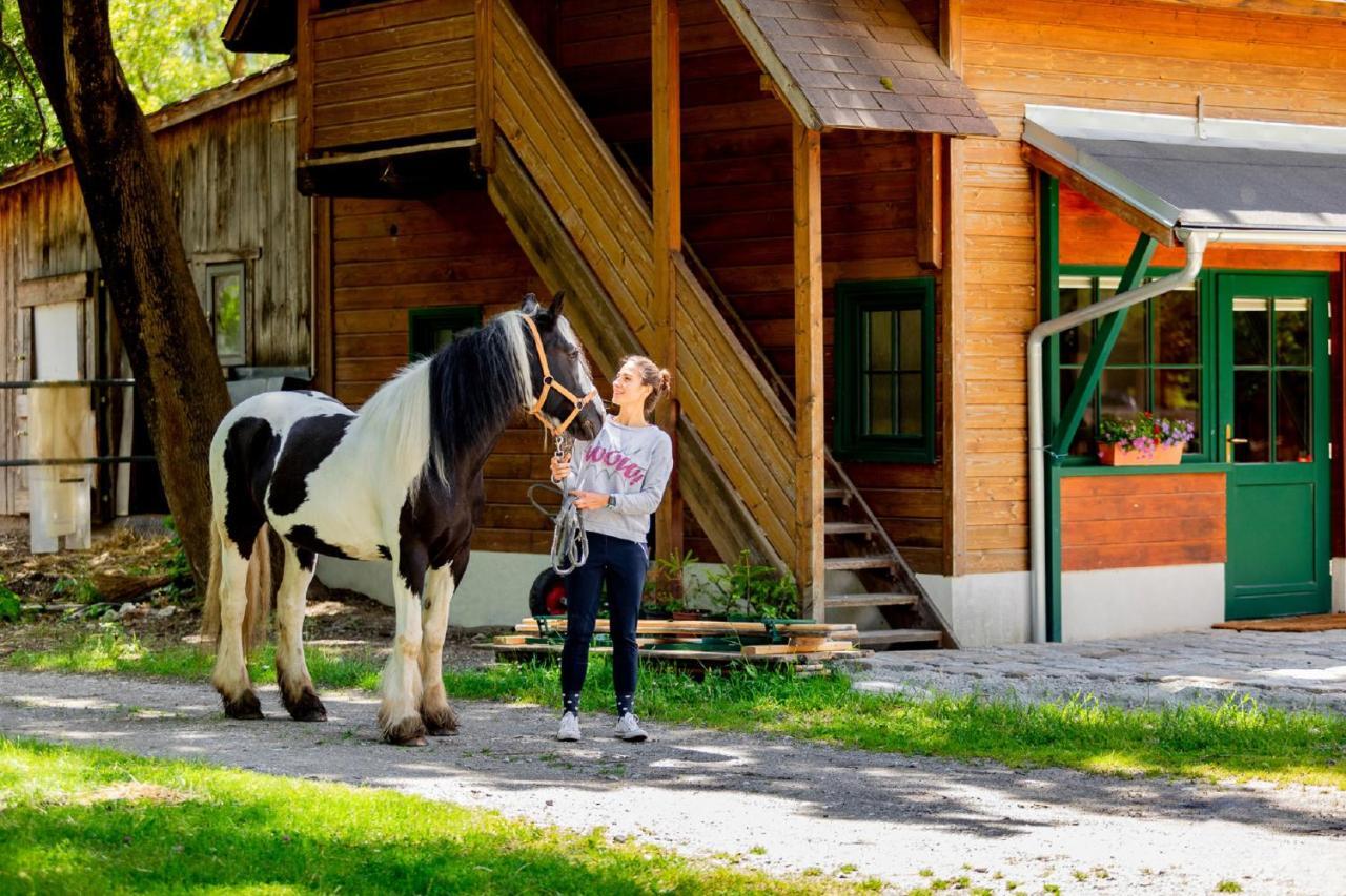 Apartmán Muehle In Der Pferdewelt Reichenau Exteriér fotografie