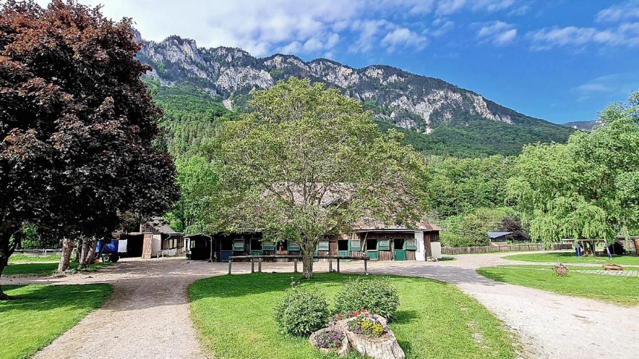 Apartmán Muehle In Der Pferdewelt Reichenau Exteriér fotografie