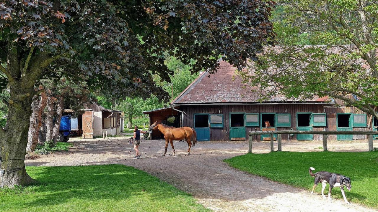 Apartmán Muehle In Der Pferdewelt Reichenau Exteriér fotografie