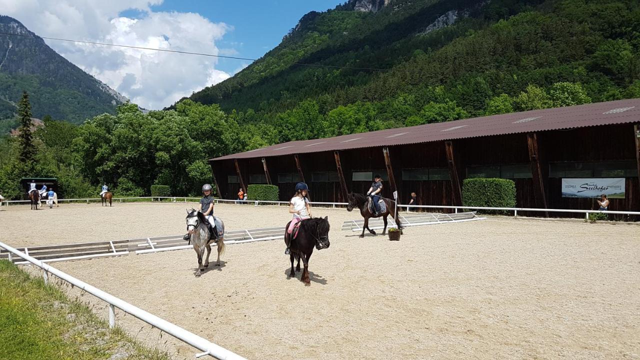 Apartmán Muehle In Der Pferdewelt Reichenau Exteriér fotografie