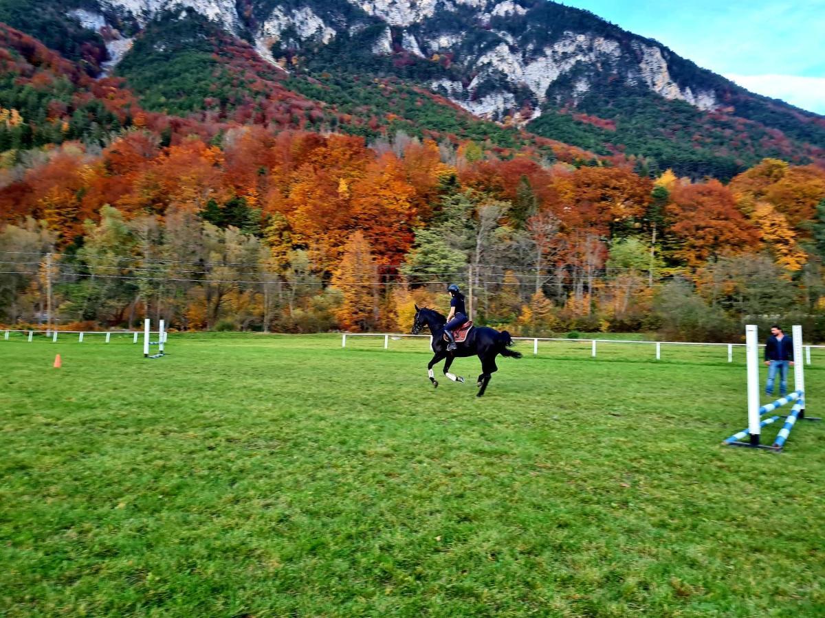 Apartmán Muehle In Der Pferdewelt Reichenau Exteriér fotografie