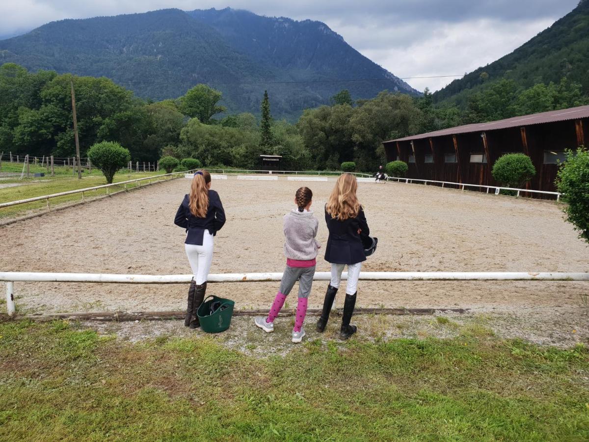 Apartmán Muehle In Der Pferdewelt Reichenau Exteriér fotografie